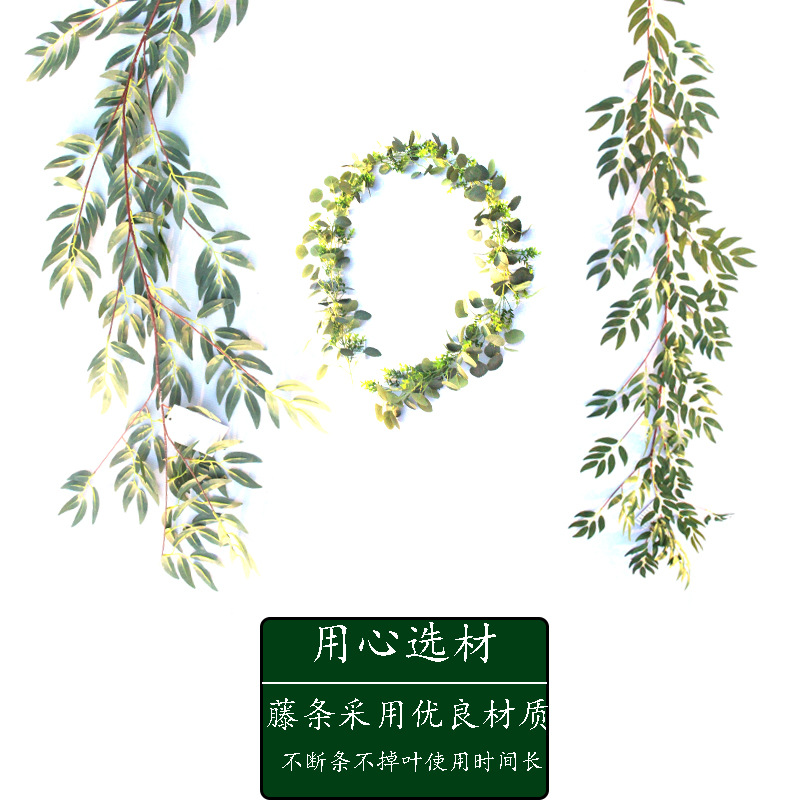 藤条1号 448叶 112花 24 (1).jpg