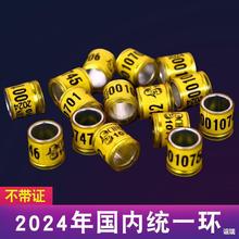 _hƷþhhhReh2023yһh