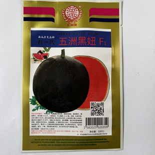 �����ƺ�椟o��������������ϷN�Ӹ߮a�ļ��Nֲ�߲˷N�яS�����l