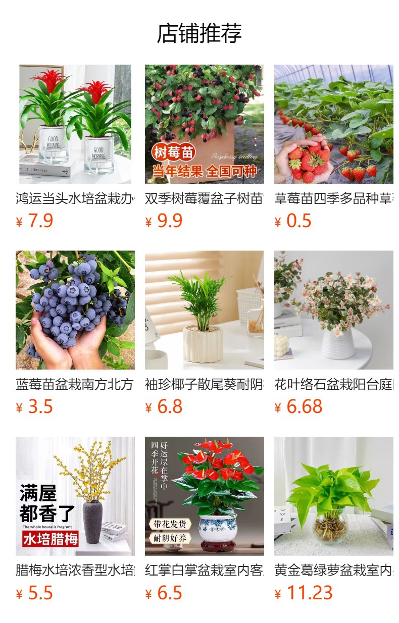 详情图