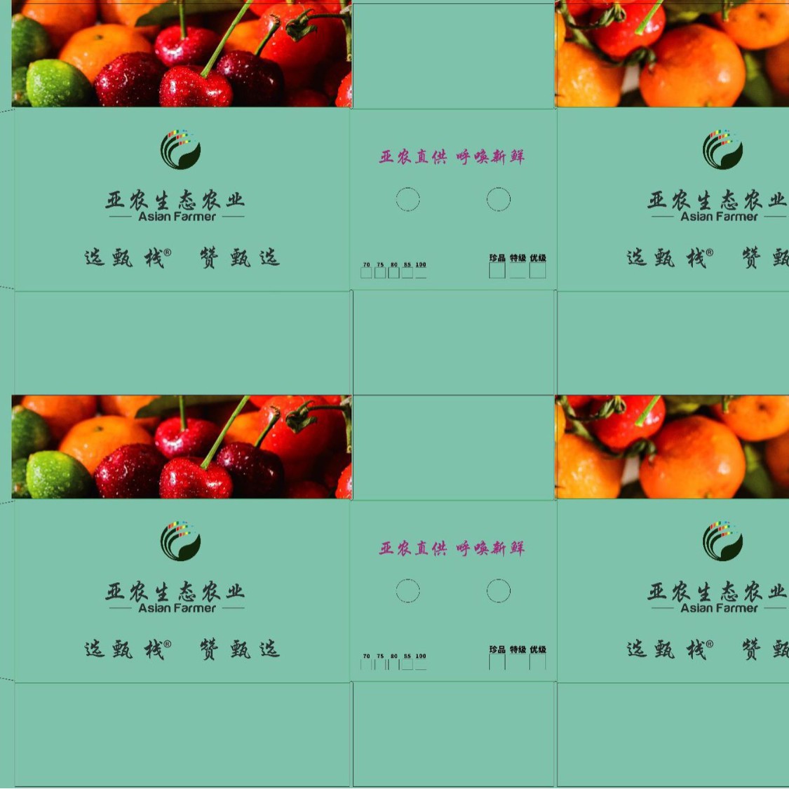 2025-05-19 14:20:03.jpg