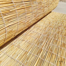 芦苇帘子白线卷帘草帘装饰遮阳隔断户外阳台落地门帘草编苇帘定