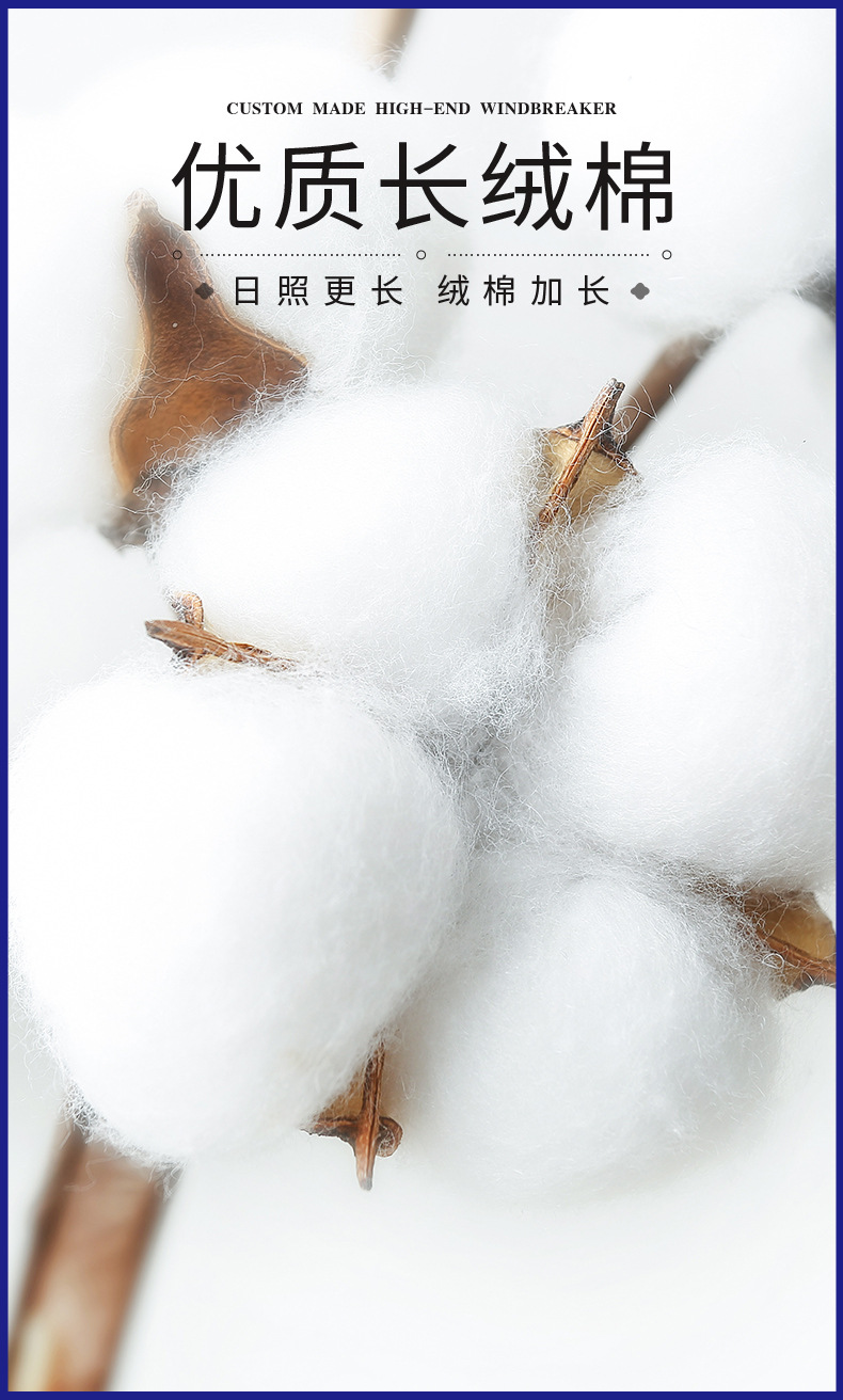 一键复制_20230211121637