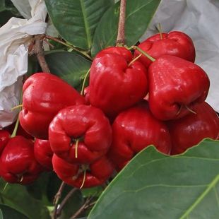 ����ɏ�F�t��ʯ�������r�Ꭷˮ��������ɏ�F�����������خa�Fɏ��