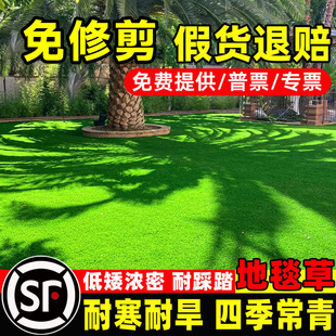Lawn Grass Seeds, Evergreen, No-Pruning, Dwarf Carpet Grass Seeds, Courtyard Greening Turf, Trampling-Resistant Grass Seeds