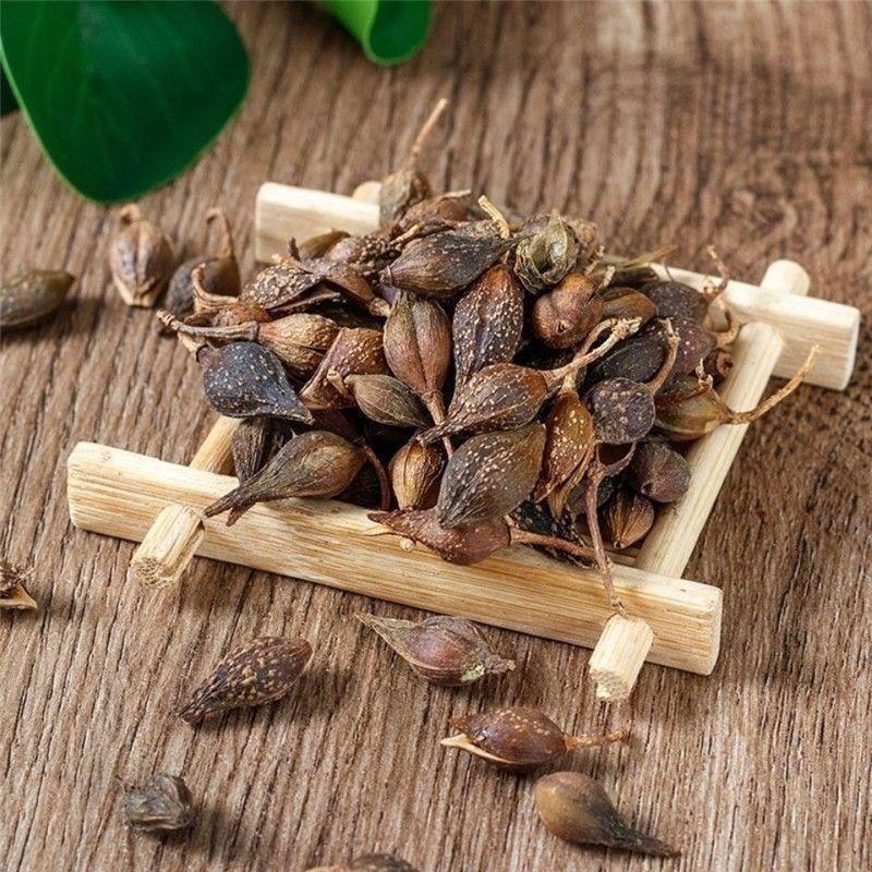 Dried Forsythia Fruit Lian Qiao 500g Bag Traditional Chinese Herb for Decoctions and Herbal Teas quality and texture