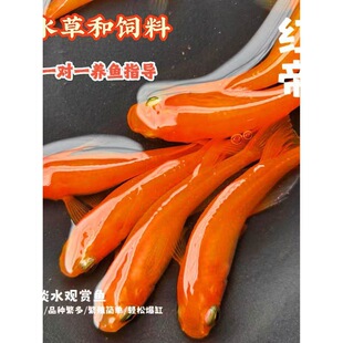 �ǹ��^�����F�t�ۼtɫ�^�p�~С���~��ˮ�~�������ŷ��׿�ȸ�~���~