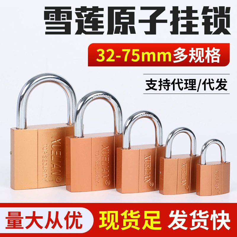 Атомный замок Snow Lotus, замок с несколькими спецификациями, бытовой замок для счетчика, имитация медного замка для ящика, дверной замок, безопасный и износостойкий