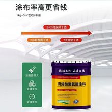 丙烯酸聚氨酯面漆水泥室外钢结构环氧富锌漆防水混凝土抗裂