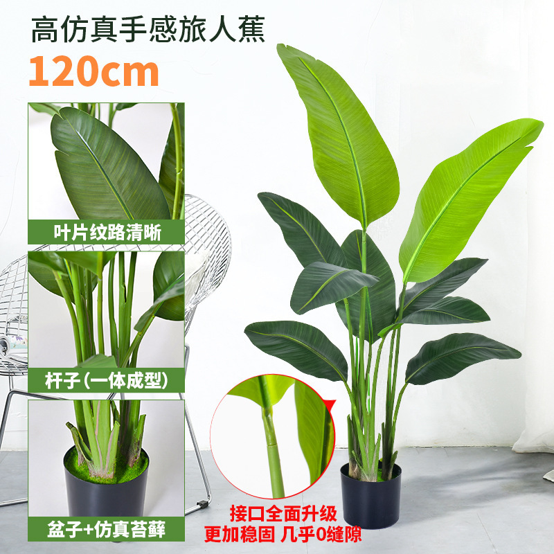 仿真绿植天堂鸟仿真花假树植物仿生高端轻奢客厅落地摆件造景盆栽|undefined