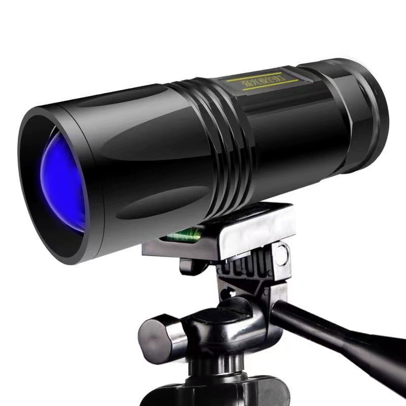 Light source, lamp, LED travel lantern