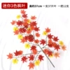 Small maple leaf, 3 colors