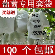 葡萄代子套果袋水果套袋纸套果子的袋子果树葡萄袋子防鸟防麦太保