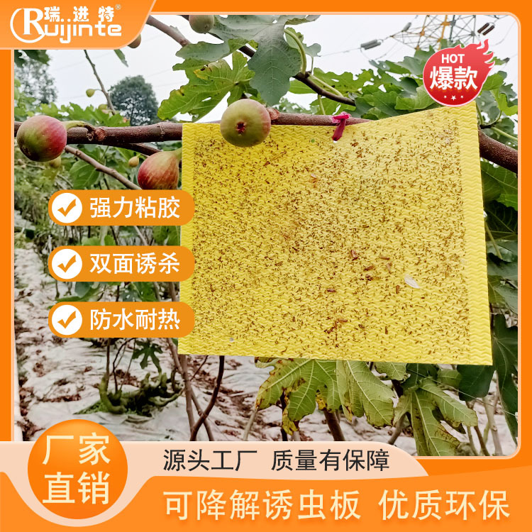 可降解诱虫板黄板双面灭虫防虫板叶蝉潜蝇蚜虫粉虱蓟马粘虫板防水