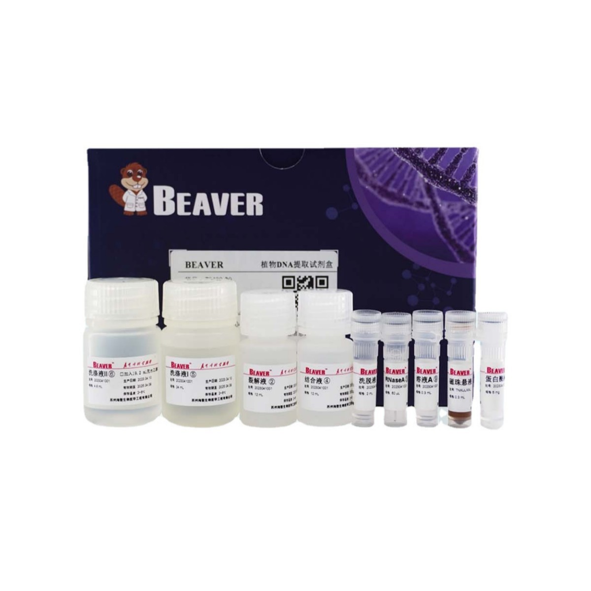 海狸BEAVER羟基磁珠2.8um货号70109-5容量5mL 10mg/ml 现货