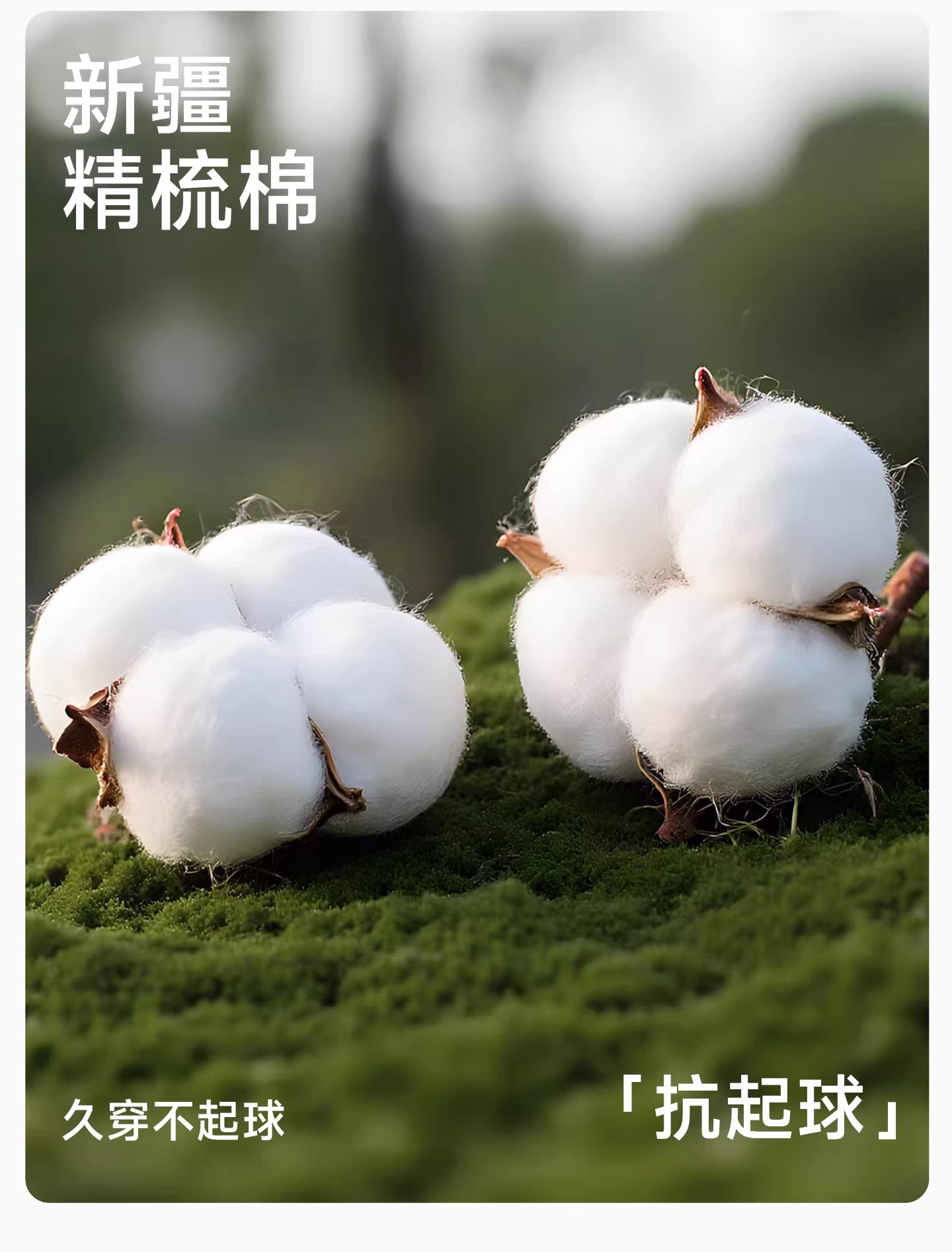 O1CN01AWMQT01xR7OHmob0S_!!3548