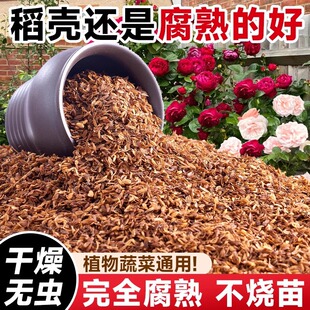 �����l�͸��쵾�Ț�����̿���l���ЙC���ϠI�B���B���N��ͨ��