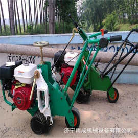 手扶草坪移植机 内燃式草坪铲草机 全自动起草皮机 参数图片