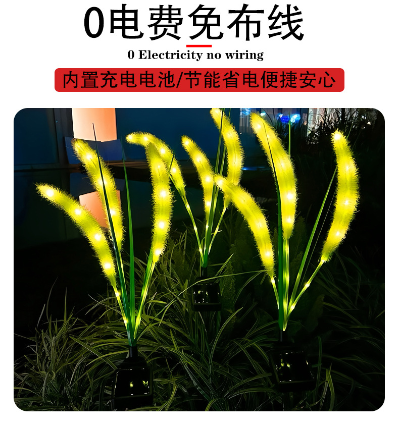 狗尾巴草_06.jpg?x-oss-process=image/format,png