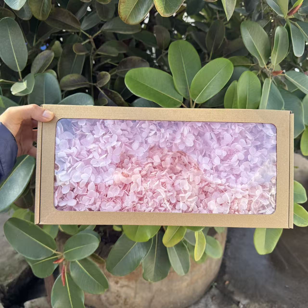 ✅ Flores secas flores eternas hortenida color gradiente material hecho a mano bolsa de calzado de boda cubierta de vidrio grupo de construcción de flores actividades