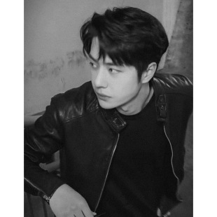 [Yibo Xingguang] Yibo same style sheepskin leather coat full plant Grade A sheepskin stand collar jacket New