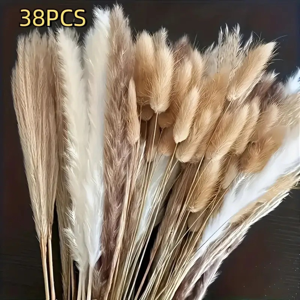 兔尾草干花花束真花永生花狗尾巴草兔尾草潘帕斯草装饰拍摄道具