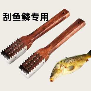 �Ӻ�tľ�~�[�� ���[�� ���[�� ȥ�~�[���� ���~�� ���~�[�~�[ˢ