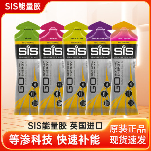 SIS�����zӢ���M�ڵȝB�z���z�R�����ܲ��T��ԽҰِ��ɽ�\��