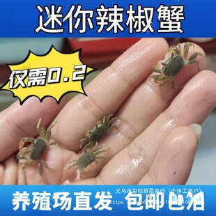 ��������з�^�pзˮ�����lС�з����з�ľ�з�[������Ї�