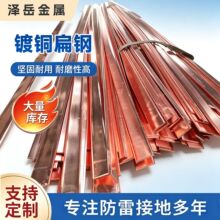 镀铜扁铁40*4镀铜扁钢铜包钢接地扁钢铜覆钢扁铁镀铜铜覆钢扁钢