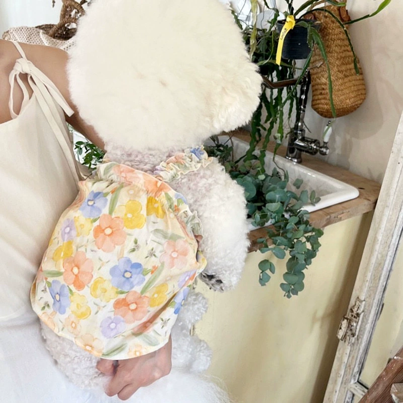 Zs Летняя тонкая юбка для домашних животных Тедди Биби Медведь Помей Йоркша Мальцис Собачья Одежда Летняя