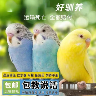 �S��ֱ�N�S��ֱ�N�W�^���B���ﻢƤ�W�^���fԒ���B�����B녰�С��