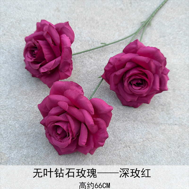 Rosa de diamante sin hojas-2