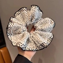 �nϵ�p���ٽz���c���c�lȦŮ�¿��Rβ�l�K���|�^�����^�l�^�K�l�