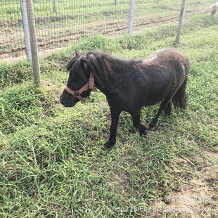 ��ͯ�T�˰��R������aС���R�����R���㰫�_�R���ۻ��w�Rƥ�����I