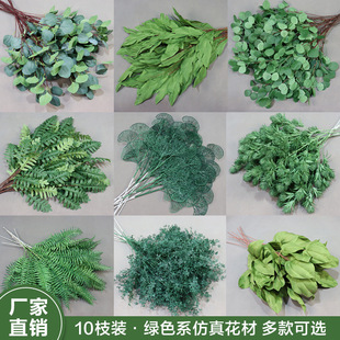 ɭϵ���滨10֧�b��픾Gֲ�~�ӻ�c�G�������~�b��߻��٘��~
