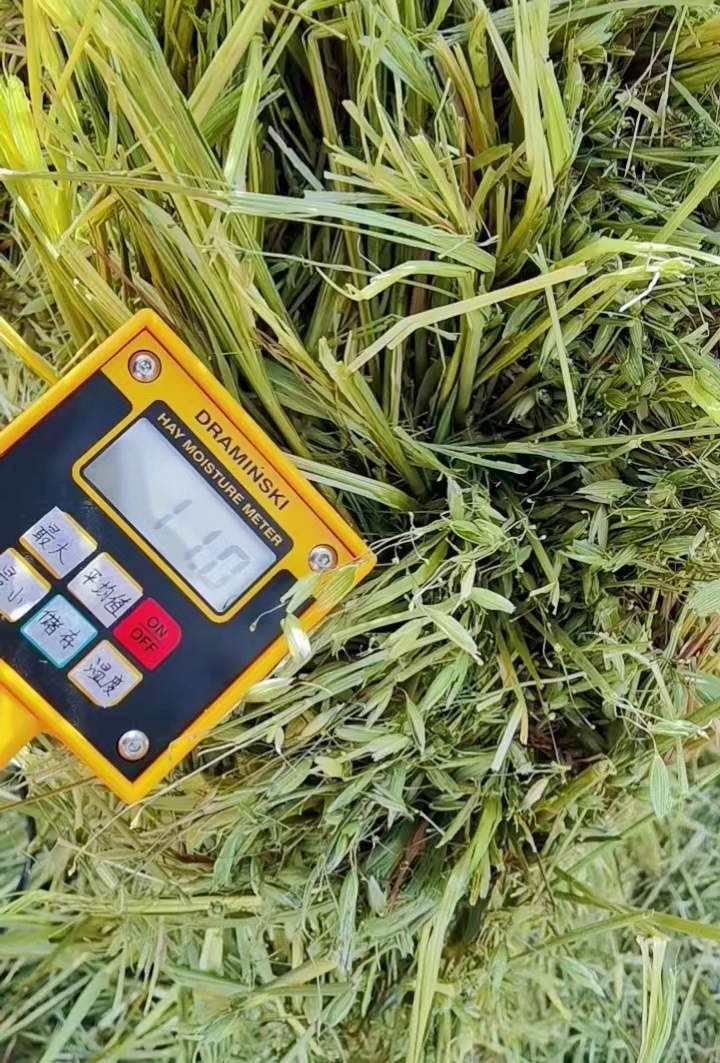 3cd66f043e455d55b23fc2169297bd