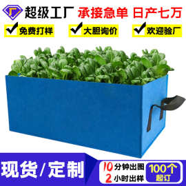 跨境批发长方形毛毡种植袋家庭植物培育袋蔬菜营养羊毛化纤手工