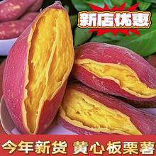 ɳ���������r�t��9���r�����������������S�t�Ŀ��ع���������