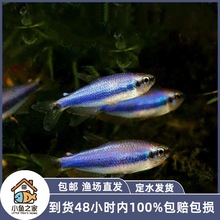 �{�������~�{�����������������~�Ꭷ�^�p�~�{�P���{��������