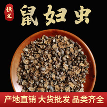 �a�x��ș�ṩ���N�����ș�� ��ș����D�x �x�b