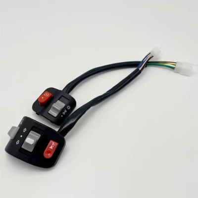 Other Electric Vehicle Accessories Qiaoge Combination Switch Assembly - a-pair-of-snap-switches