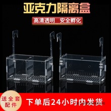 鱼缸隔离盒亚克力透明 迷你鹦鹉 孔雀 金波子孵化盒鱼苗繁殖箱子