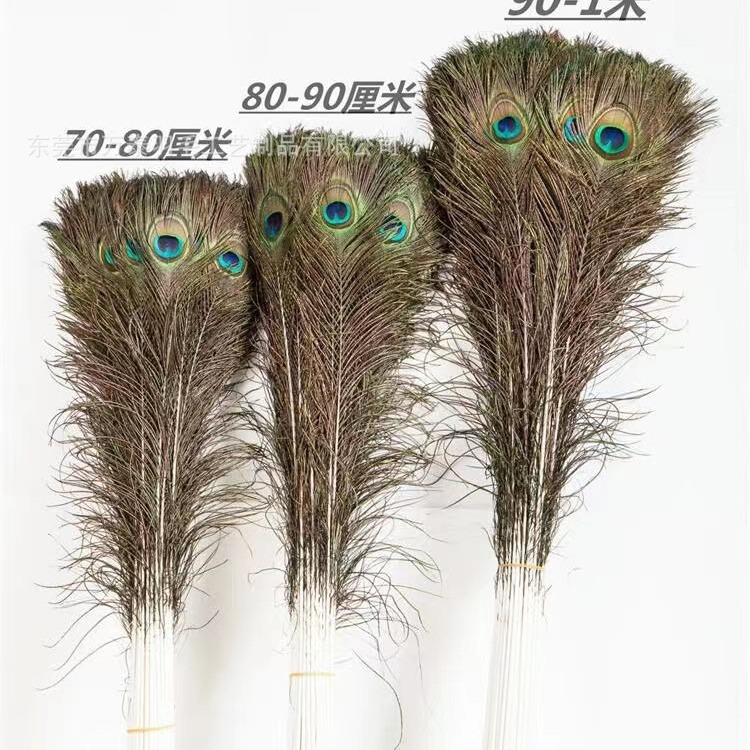 Spot 25-110cm pelo de pavo real plumas de pavo real al por mayor accesorios de joyería arreglo floral plumas decoración de plumas naturales