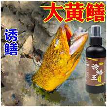 鳝家大娃小药诱食剂黄鳝泥鳅鳝鱼饵料抓小龙虾药水尼龙虾笼网渔护