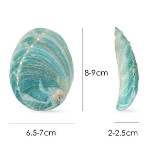 ���޾G�U �U�~�� 6-8CM��β��ȼ�����U�~ؐؐ�������~��ˮ��[��