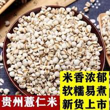 ������؛޲�����F��޲�����r��޲������s�Z�ּZ�Z�Ϳ�����