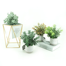 Sl¹ňAlļ ֲٻ҃ȾGֲƷ[