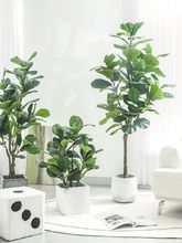 ~ŷGֲԼֲb͏d͔[