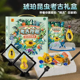 考古挖掘玩具;积木类;盲盒玩具/盲袋玩具/洞洞乐